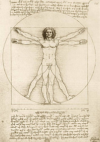 Leonardo Da Vinci - The Vitruvian Man, 1490