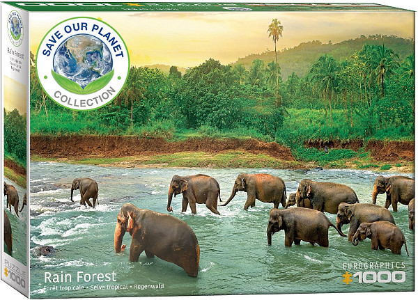 Save our Planet Collection - Rain Forest